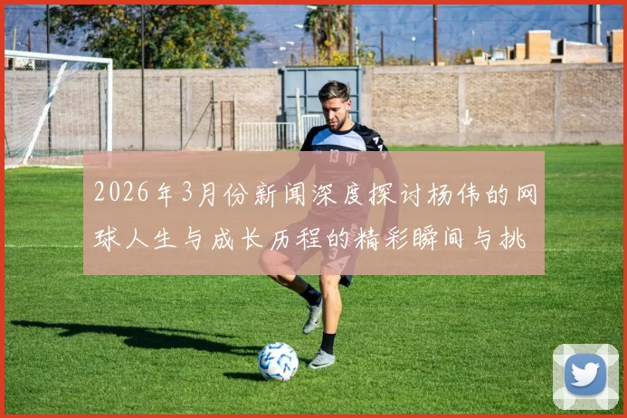 2026年3月份新闻深度探讨杨伟的网球人生与成长历程的精彩瞬间与挑战