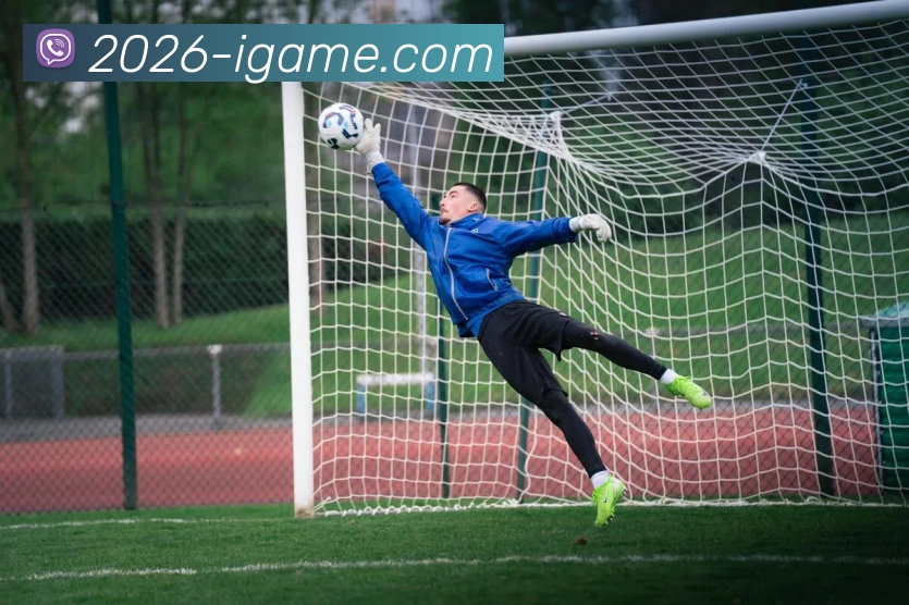 爱游戏网页版平台生态图